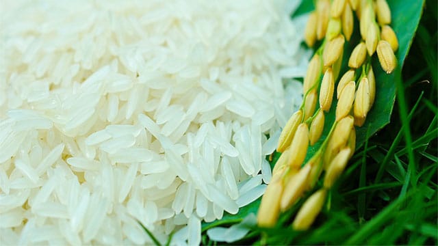 Gạo nàng thơm chợ Đào
