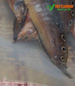 Là loại cá chạch đồng tự nhiên mùa nước nổi của vùng Đồng Tháp Mười được đóng gói trong túi hút chân không 0,5 kg. - Liên hệ mua 039 929 5868
