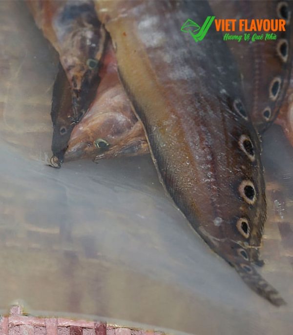 Là loại cá chạch đồng tự nhiên mùa nước nổi của vùng Đồng Tháp Mười được đóng gói trong túi hút chân không 0,5 kg. - Liên hệ mua 039 929 5868