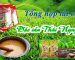 Tổng hợp tất cả đặc sản Thái Nguyên | VietFlavour.Com
